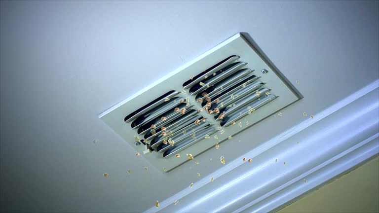Best Local Air Duct Cleaning Services  in Litchfield, MN