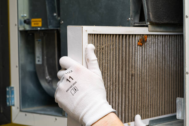 Best Affordable Air Duct Cleaning  in Litchfield, MN